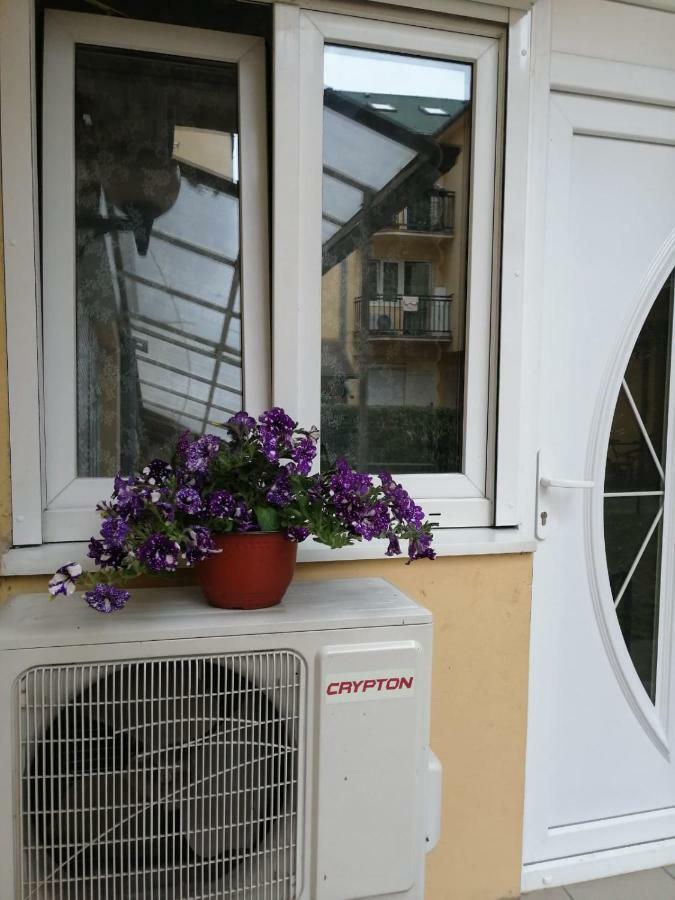 Apartman "Garden" Novi Sad Exterior foto